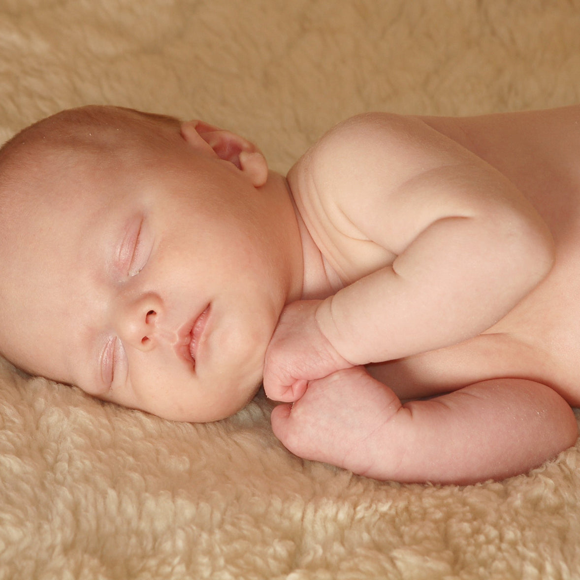 Medizinische Lammfelle