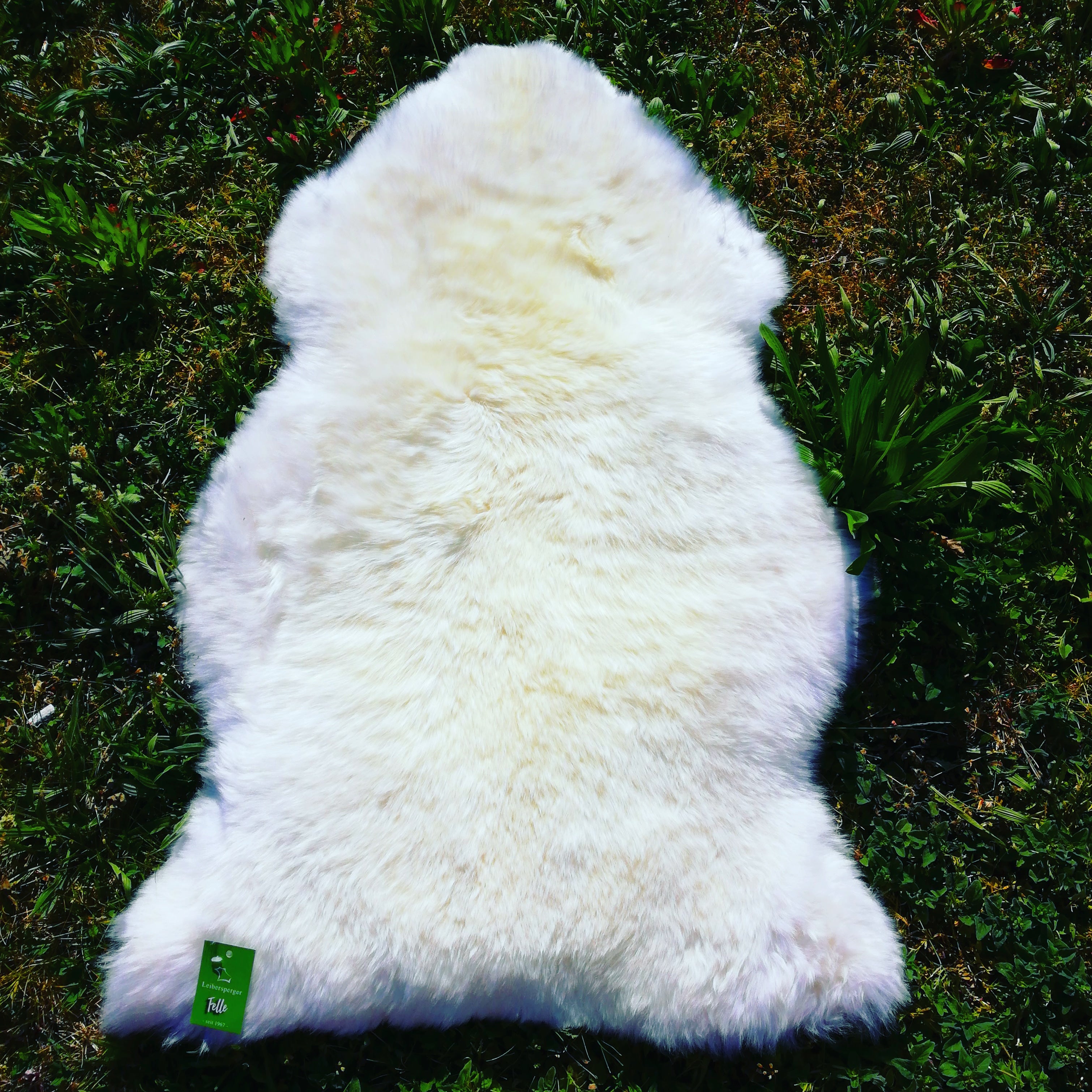 Premium-Lammfell / Weiß / versch. Größen - Leibersperger Lammfell Shop