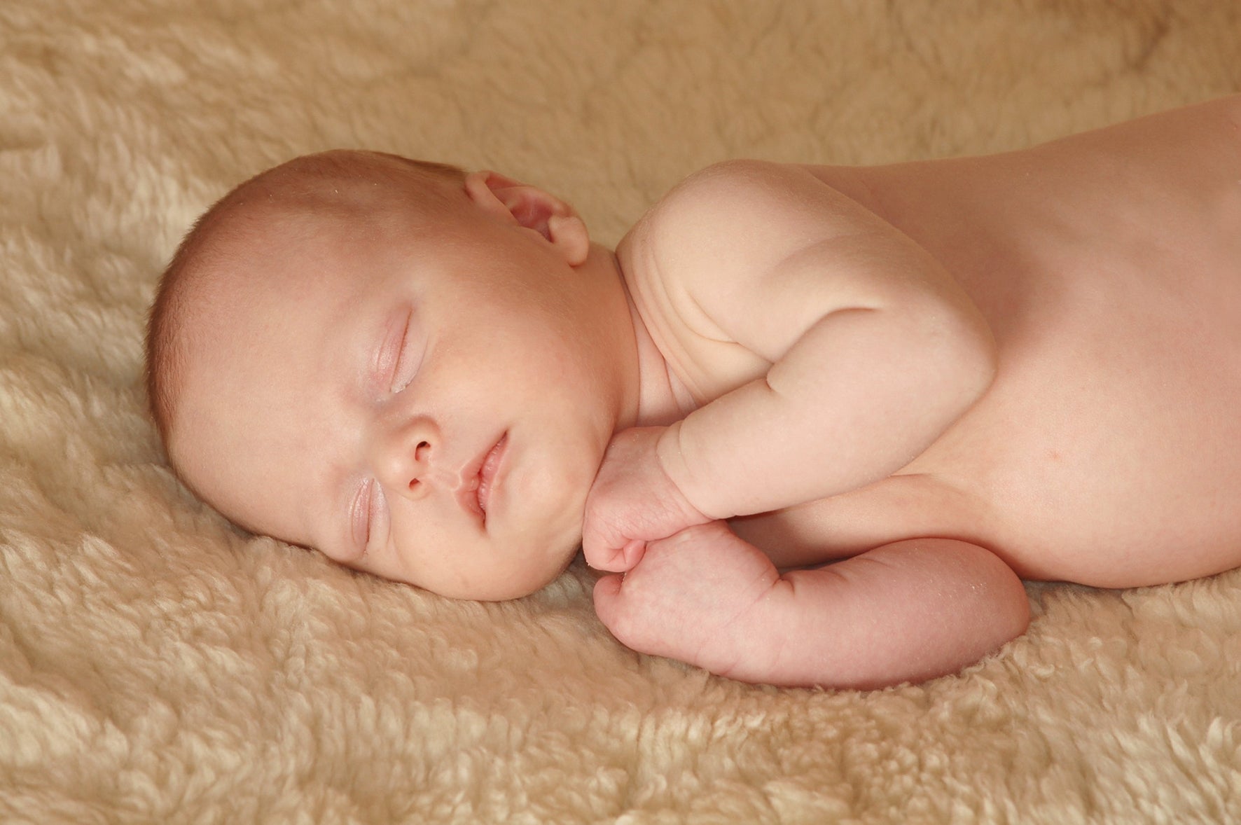 Lammfell - Auflage - Babyfell - Kinderwagen - Autositz - 80 x 40 cm - Leibersperger Lammfell Shop