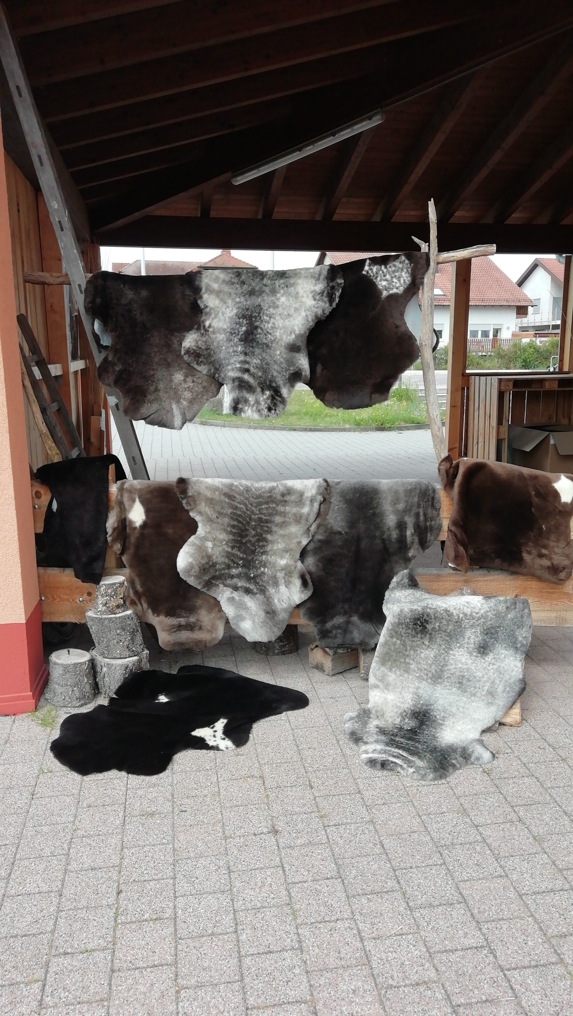 Lammfelle - geschoren